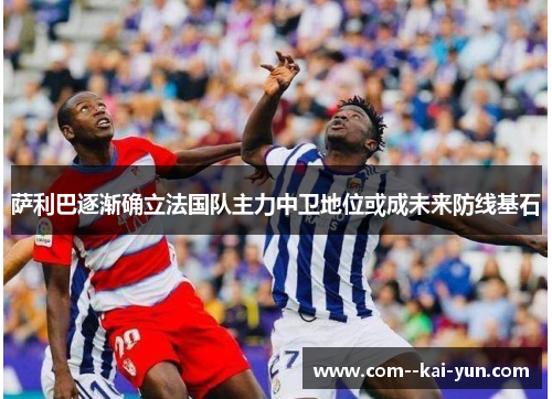 萨利巴逐渐确立法国队主力中卫地位或成未来防线基石