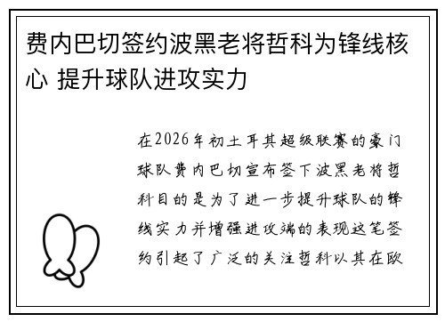 费内巴切签约波黑老将哲科为锋线核心 提升球队进攻实力